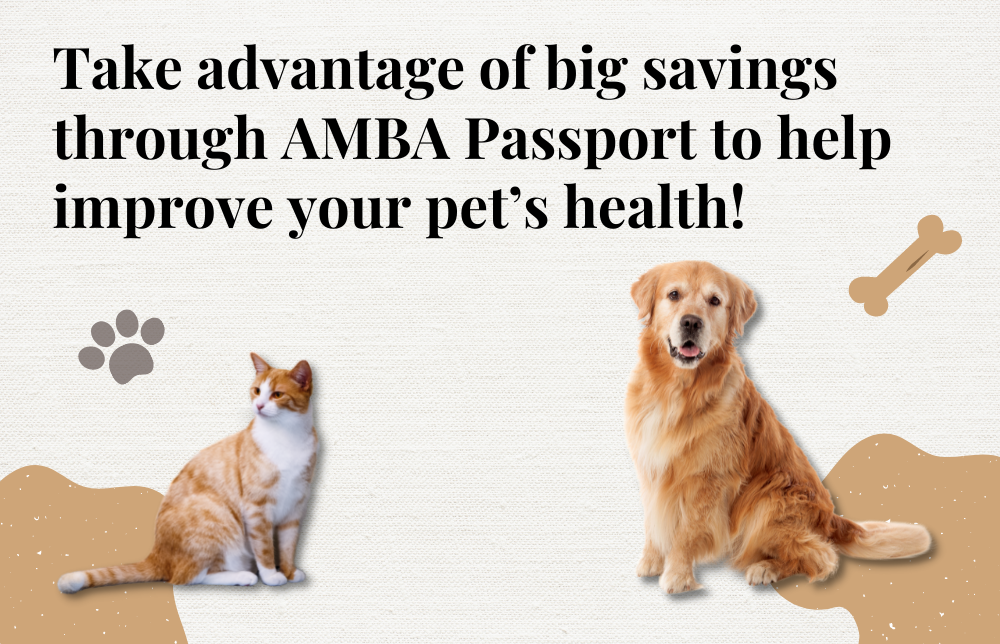 How Pets Improve Your Health Image